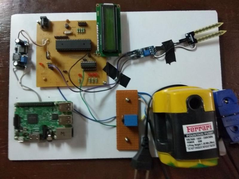 MOISTURE LEVEL MONITORING WITH MCU RASPBERRY PI